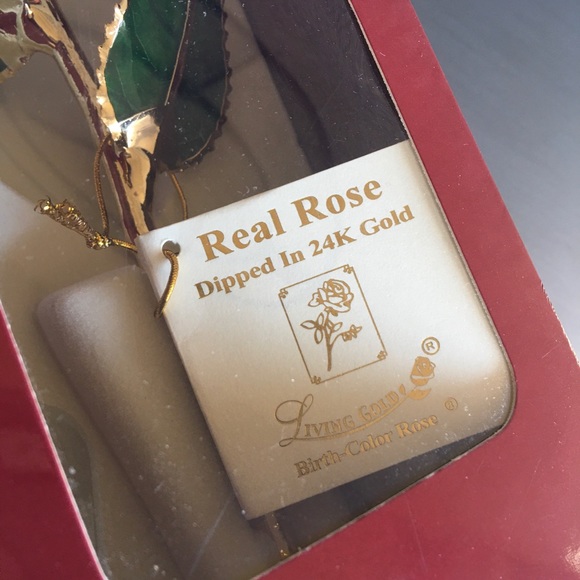 Living Gold Rose, Living Gold Real Rose - Picture 4 of 6